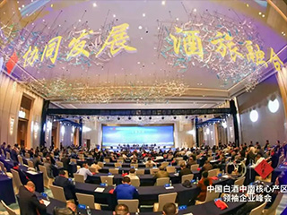 雙龍戲珠酒業(yè)榮獲“2020年度中國白酒中南核心產(chǎn)區標志產(chǎn)品獎”！